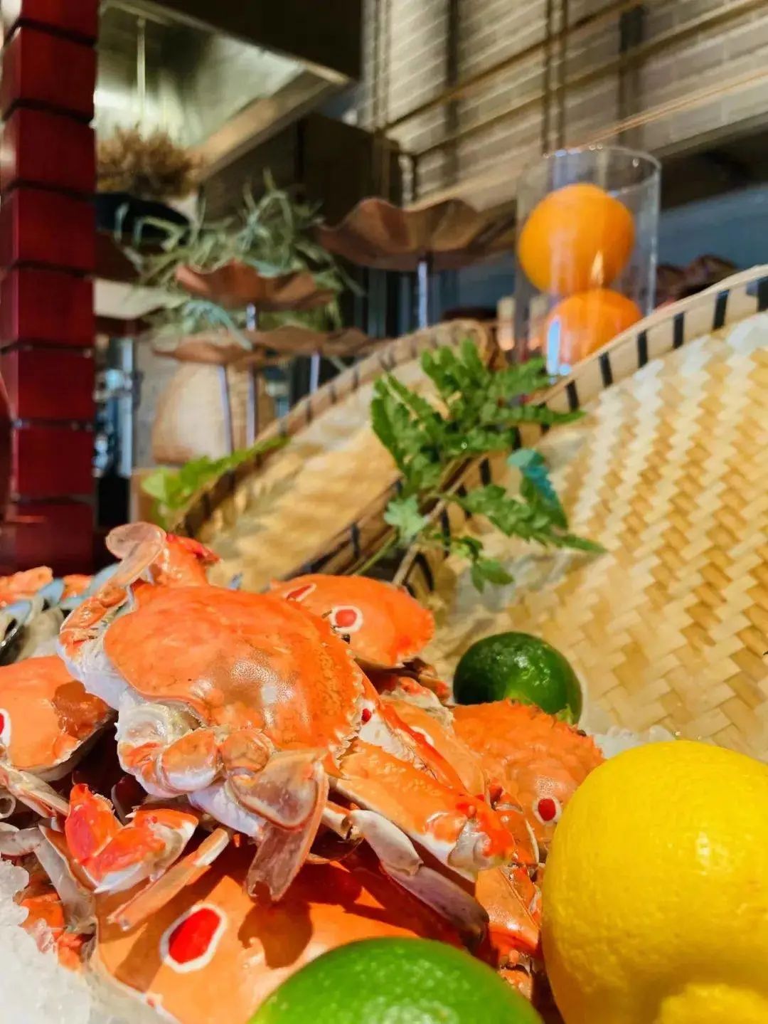 一部手机游云南