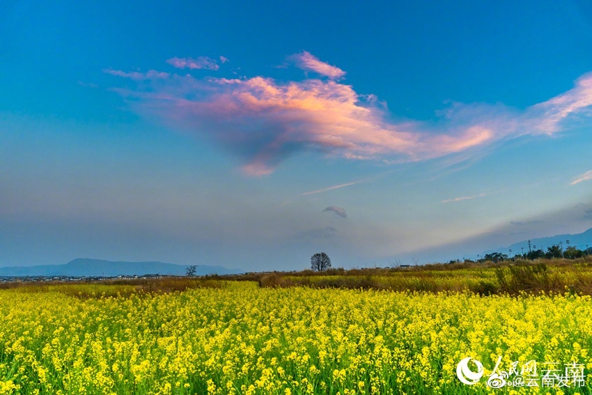 “云南发布”微博