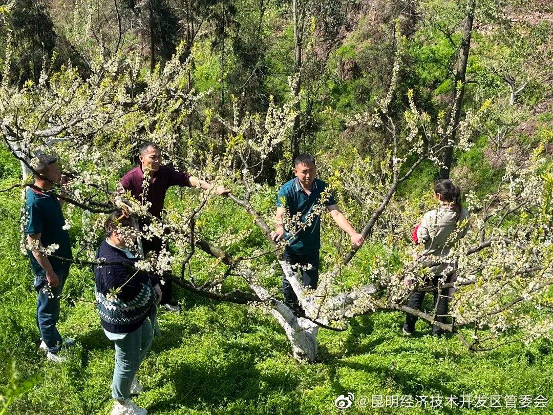 昆明经济技术开发区管委会