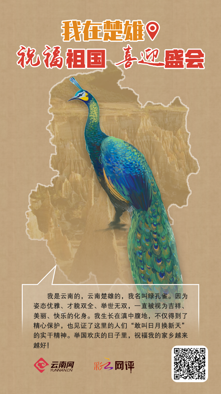 云南省文化和旅游厅