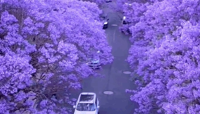 云南省文化和旅游厅