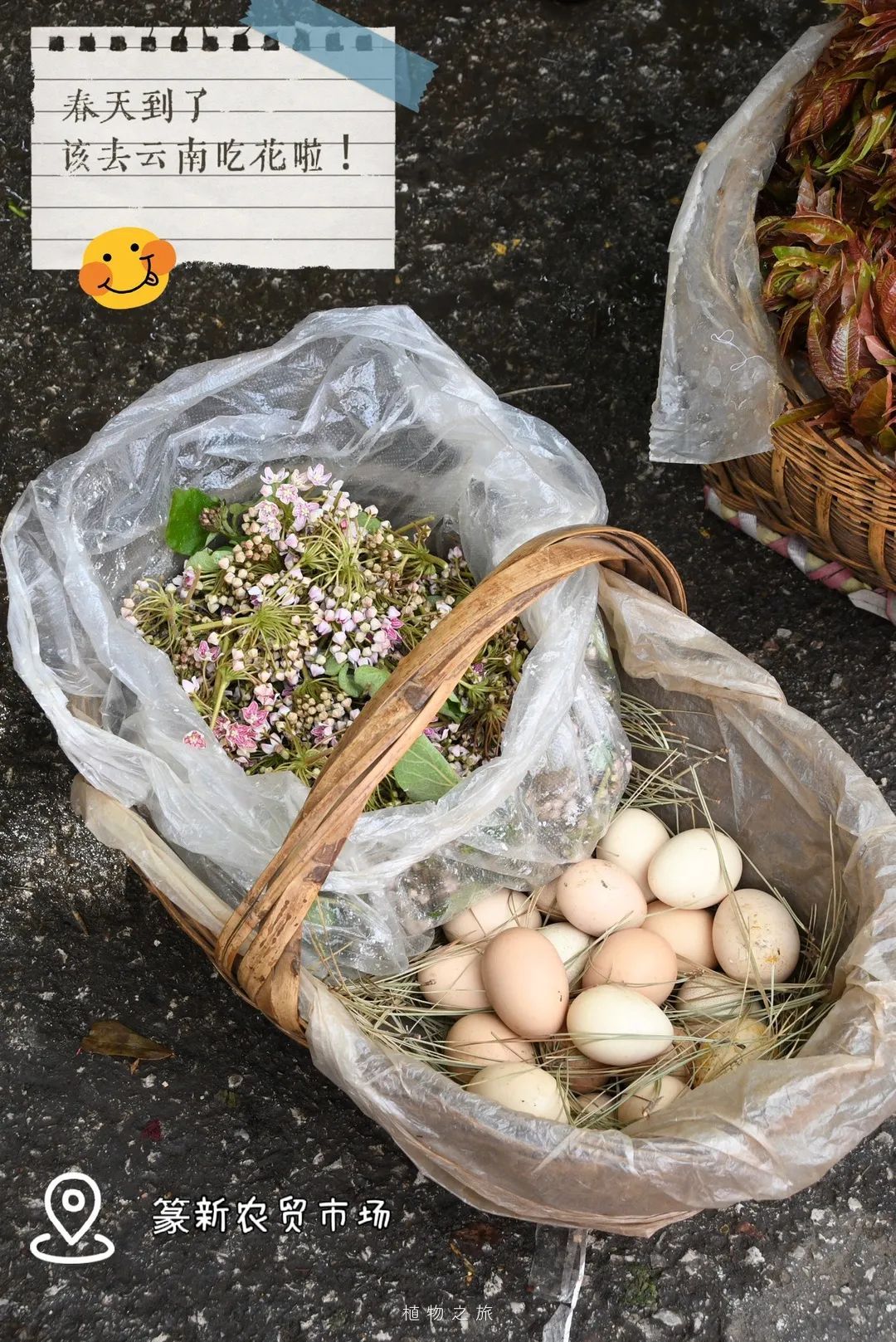 云南省文化和旅游厅