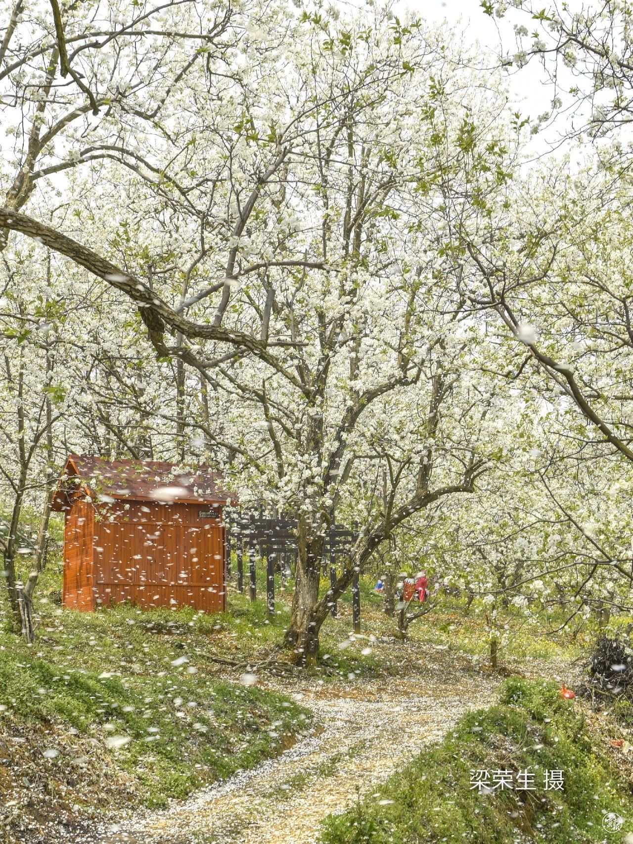 云南省文化和旅游厅