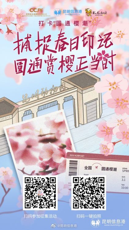 昆明信息港（微博）