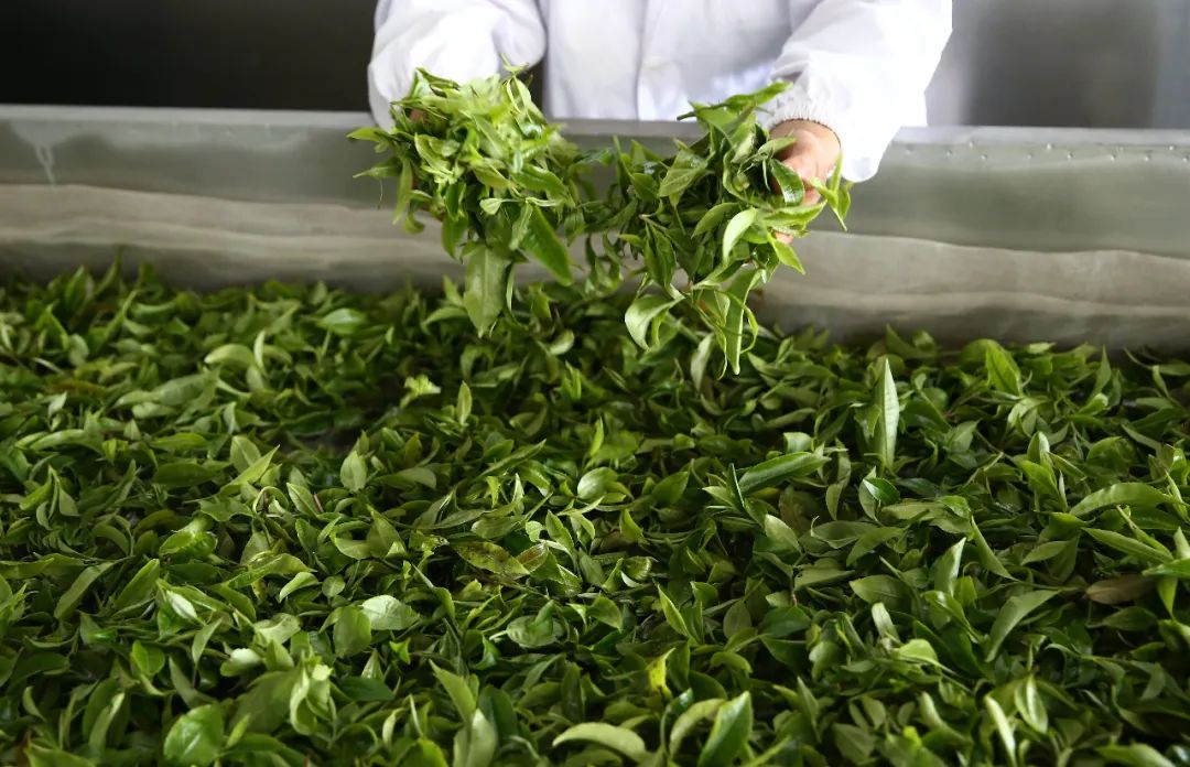 昆明市农业农村局