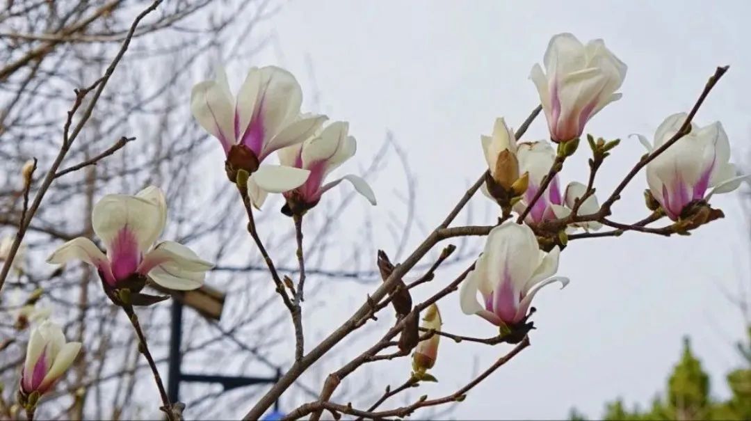 红河日报
