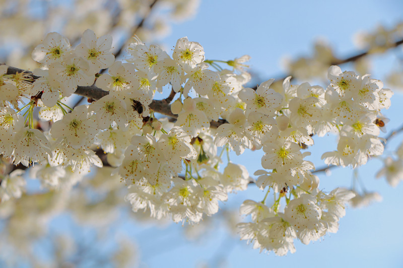 云南省文化和旅游厅