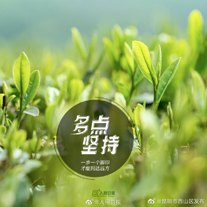 昆明市西山区发布