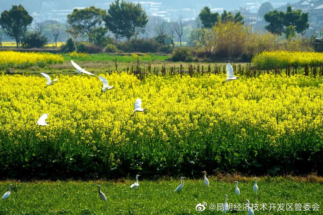 昆明经济技术开发区管委会