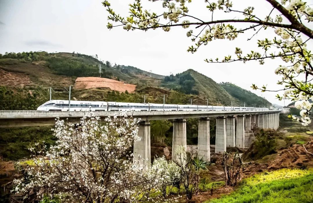 云南省文化和旅游厅