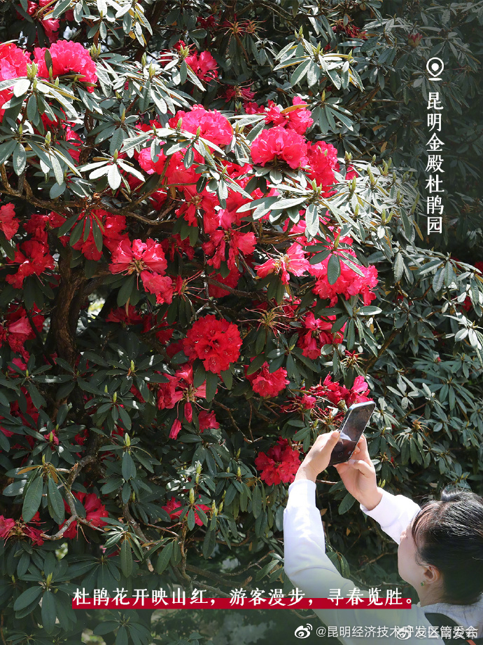 昆明经济技术开发区管委会