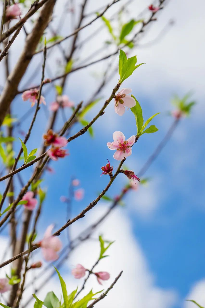 一部手机游云南