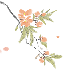 云南民族村