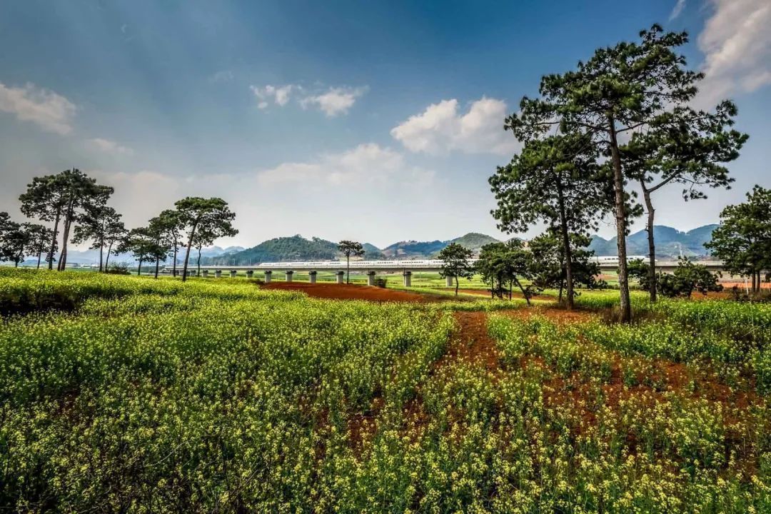 云南省文化和旅游厅