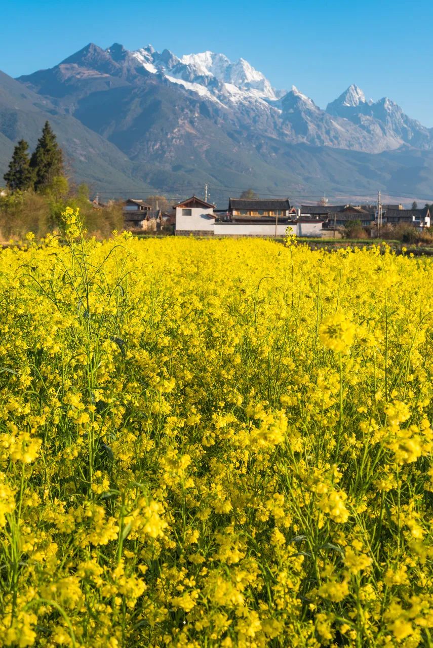 一部手机游云南