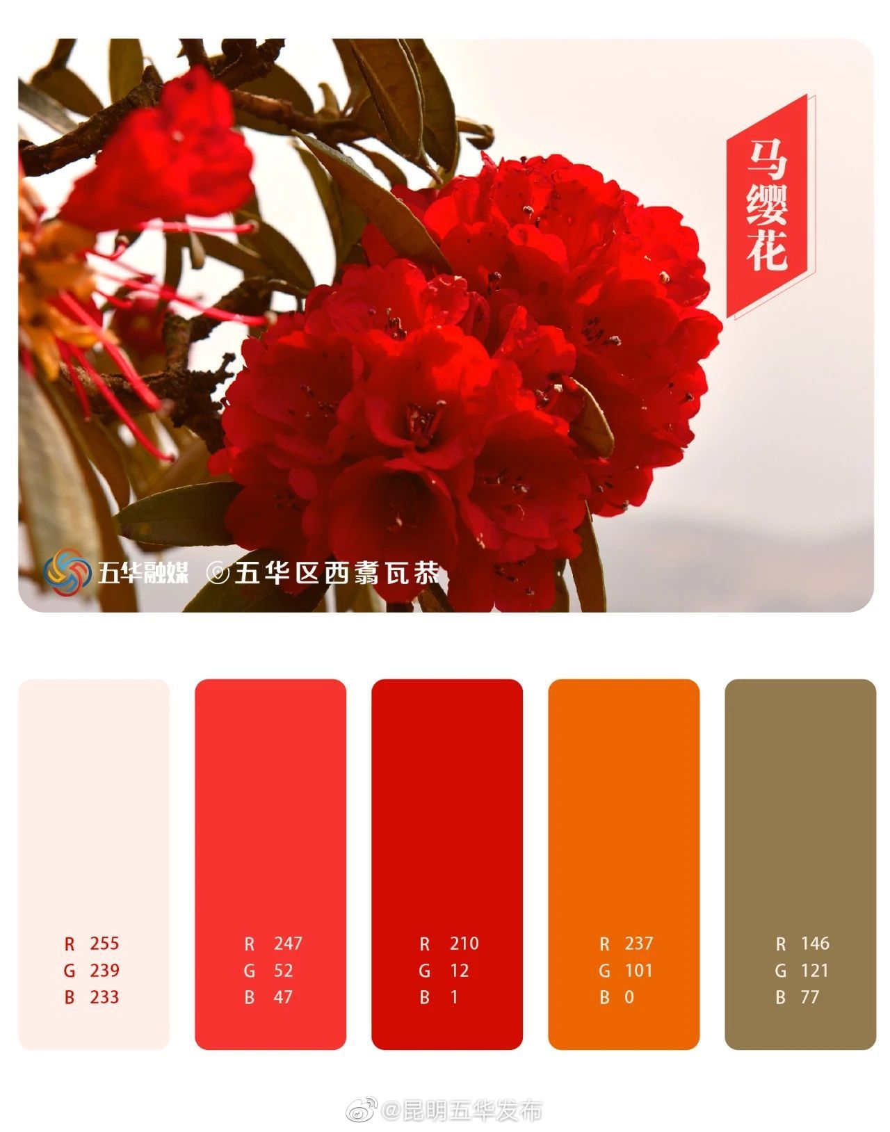 昆明五华发布