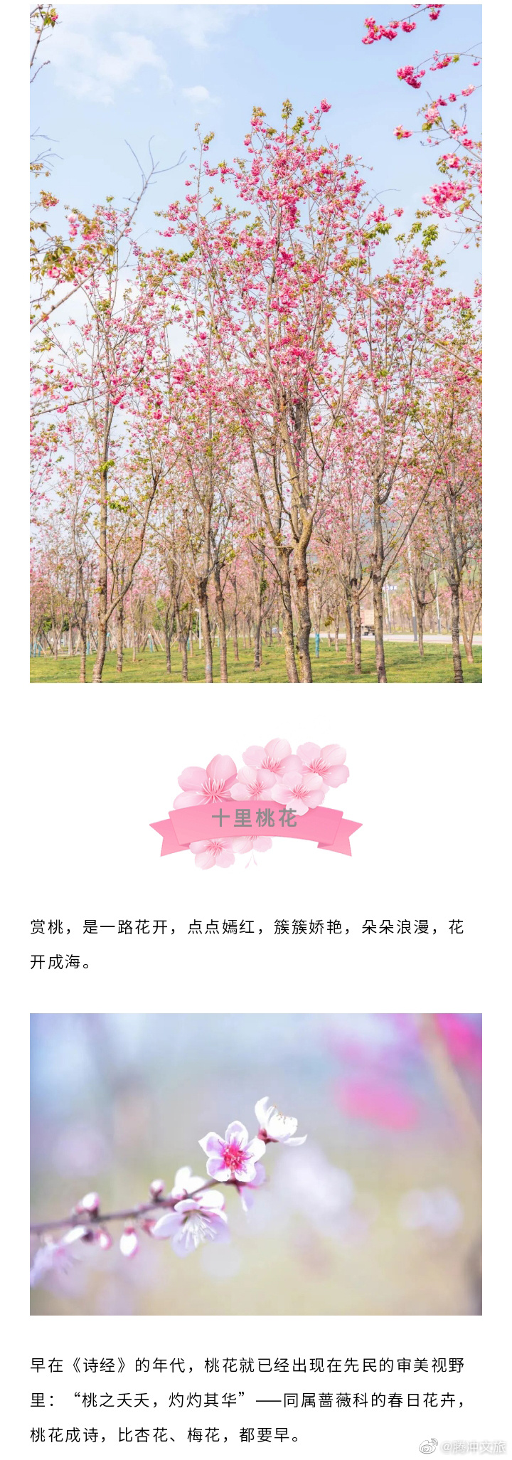 腾冲文旅微博