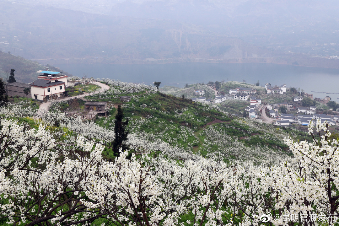 “昆明官渡发布”微博