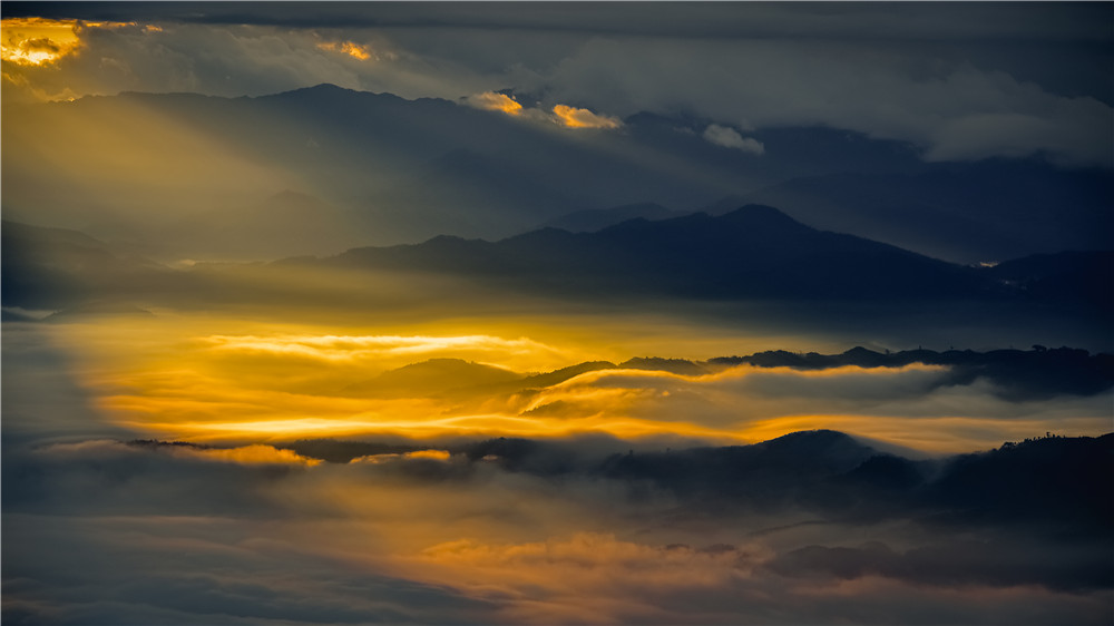 云南省文化和旅游厅