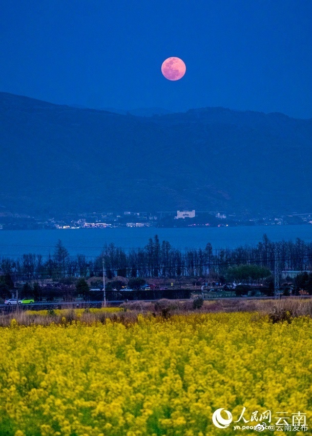 “云南发布”微博