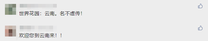 云南省文化和旅游厅