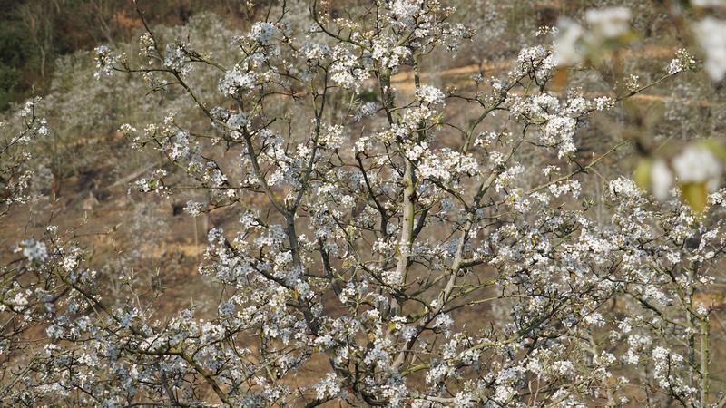 云南省文化和旅游厅