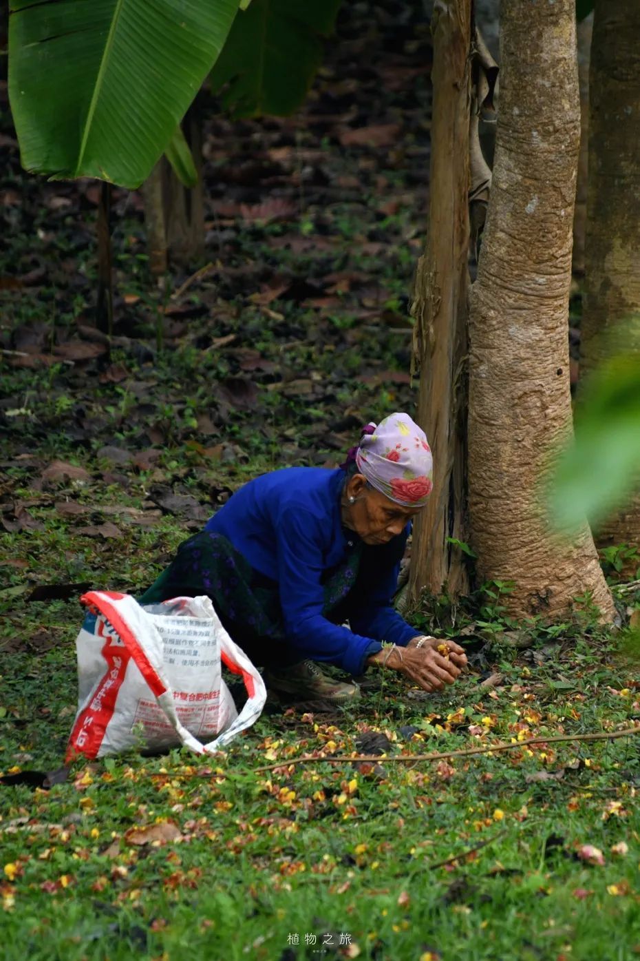 云南省文化和旅游厅