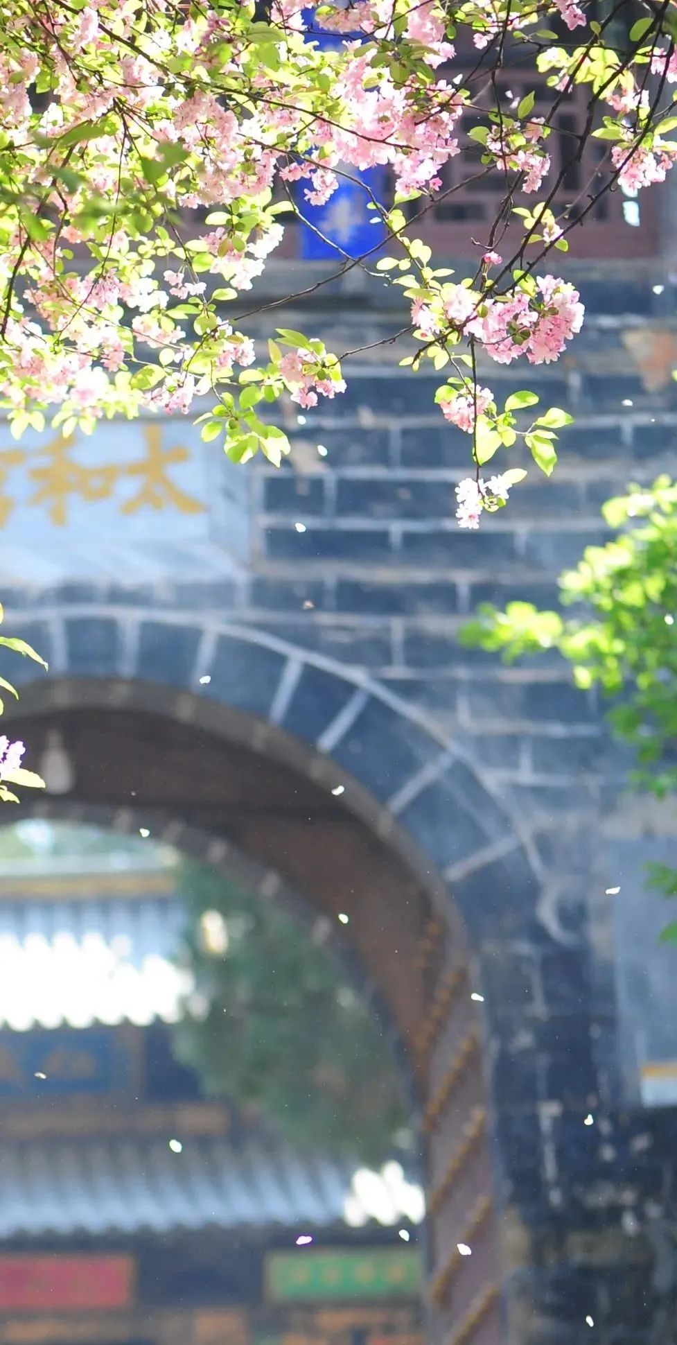 昆明市金殿名胜区