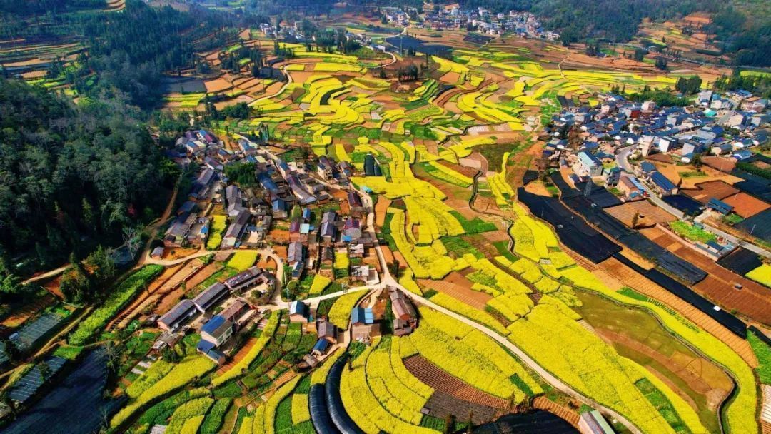 云南省文化和旅游厅