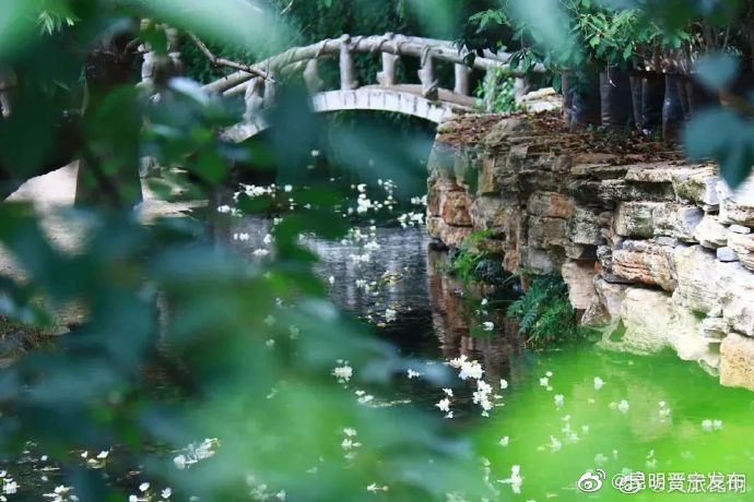 昆明晋宁发布