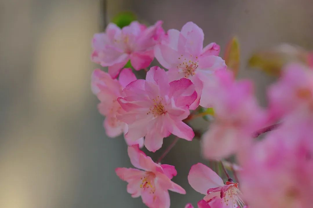 昆明市金殿名胜区