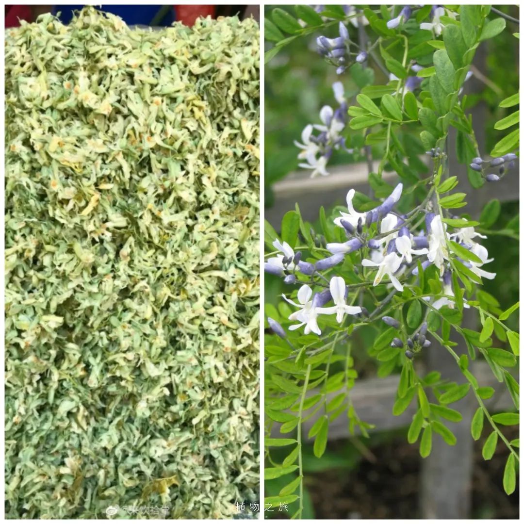 云南省文化和旅游厅