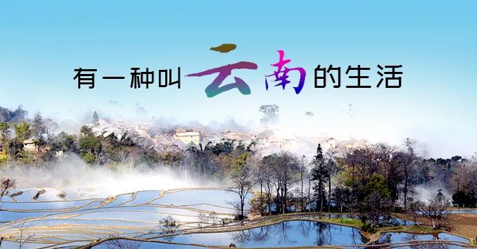 红河日报