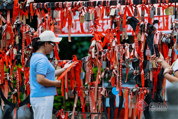 云南省文化和旅游厅