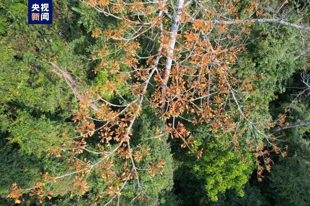 昆明信息港/cnkmxxg