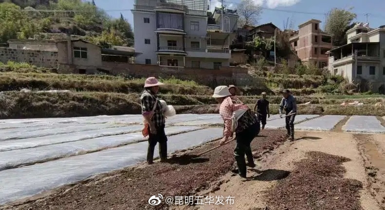 昆明五华发布