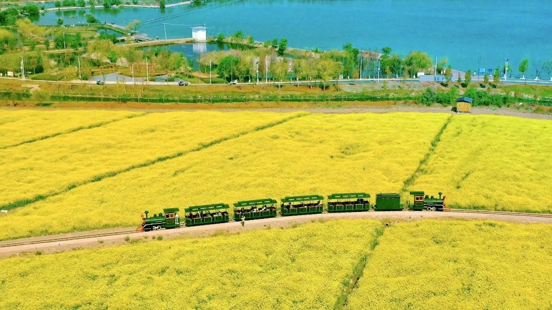 云南省文化和旅游厅