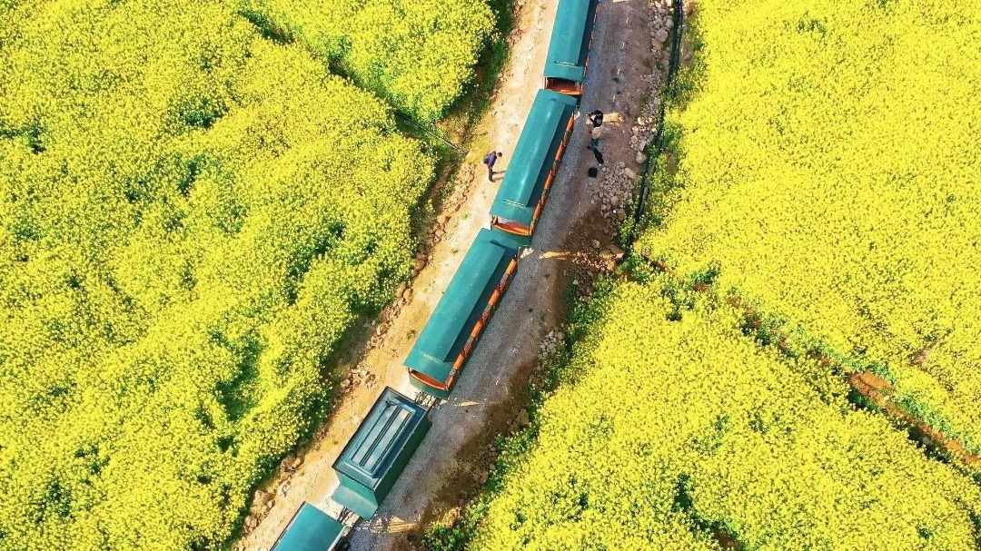 云南省文化和旅游厅