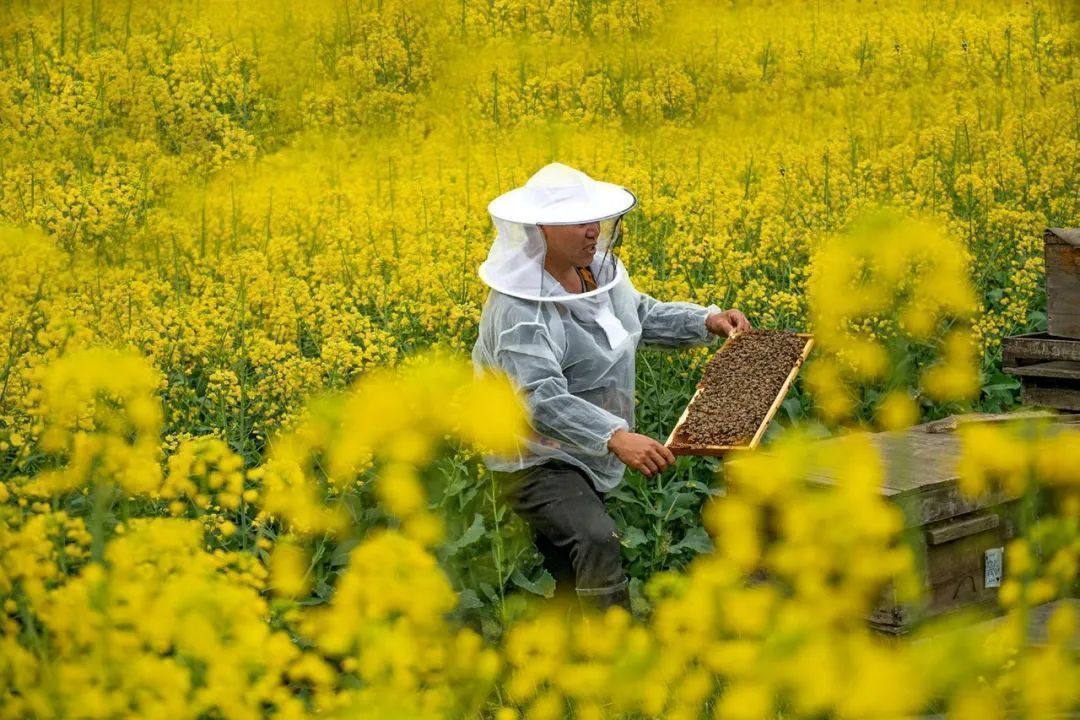 云南省文化和旅游厅