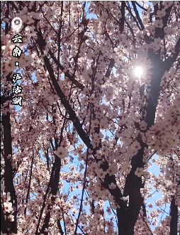 云南省文化和旅游厅