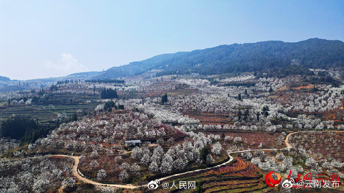 “云南发布”微博