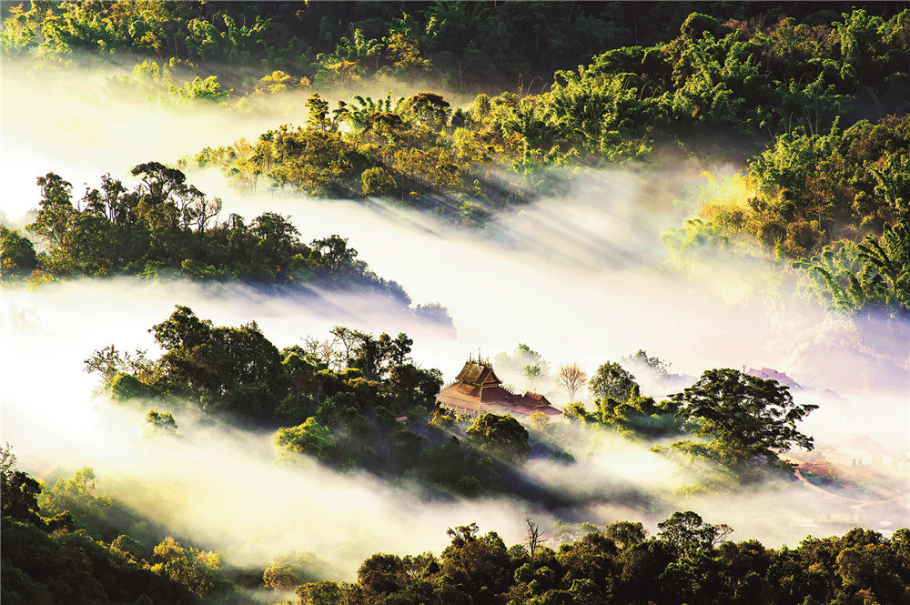 云南省文化和旅游厅