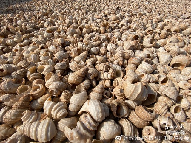 昆明经济技术开发区管委会