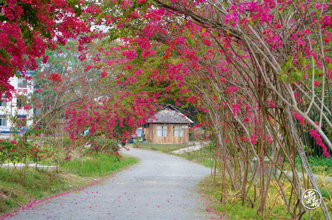 云南省文化和旅游厅