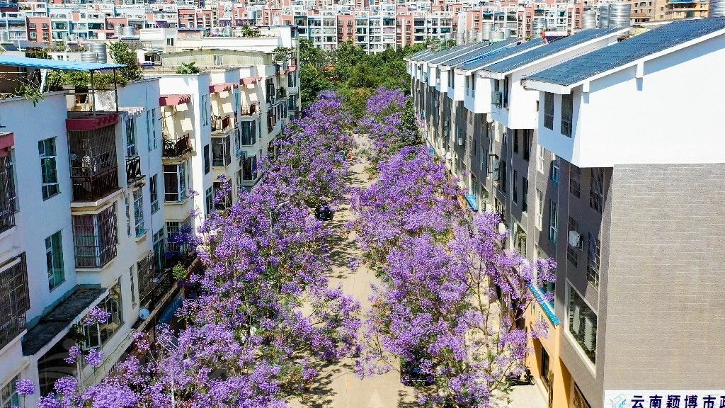 云南省文化和旅游厅