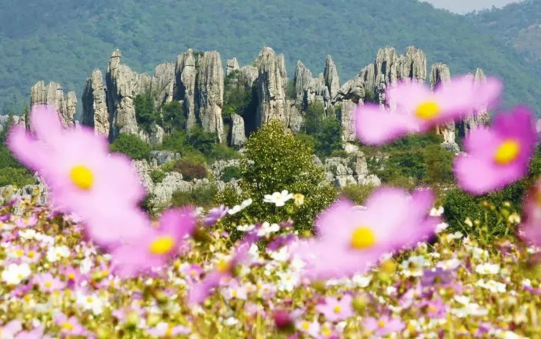 昆明文旅