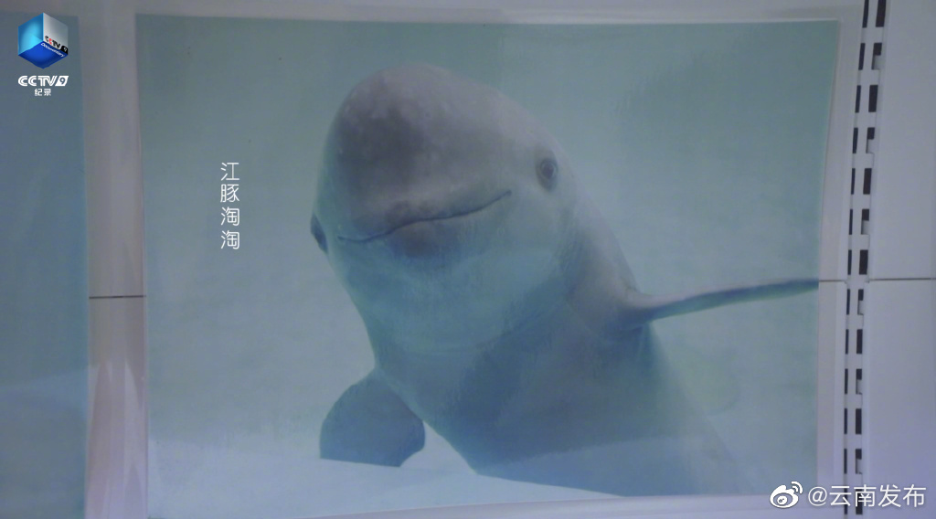 “云南发布”微博