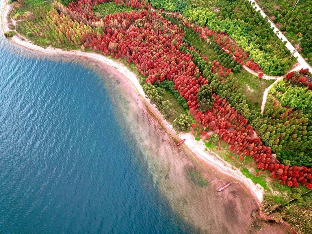 云南省文化和旅游厅