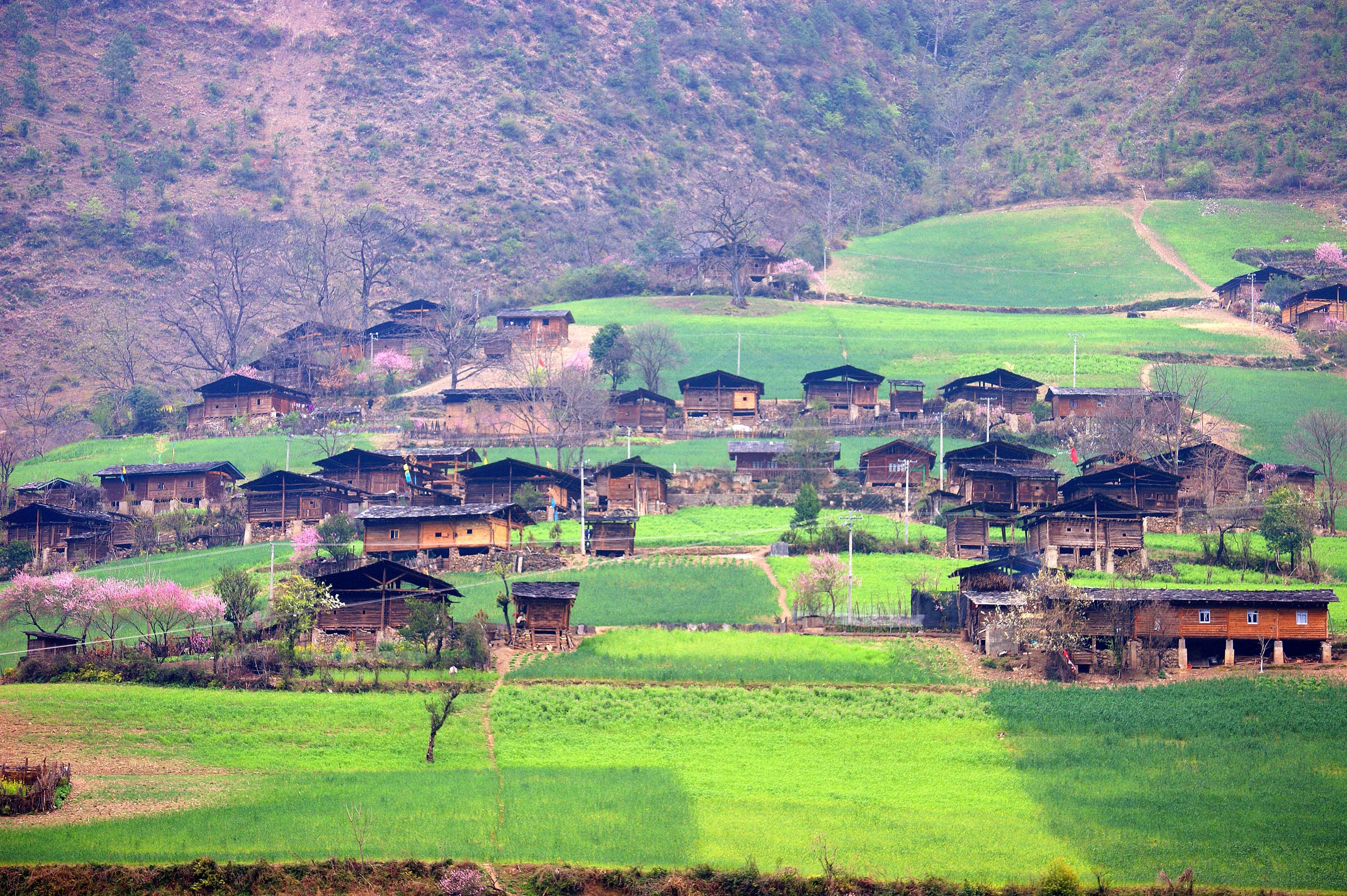 云南省文化和旅游厅