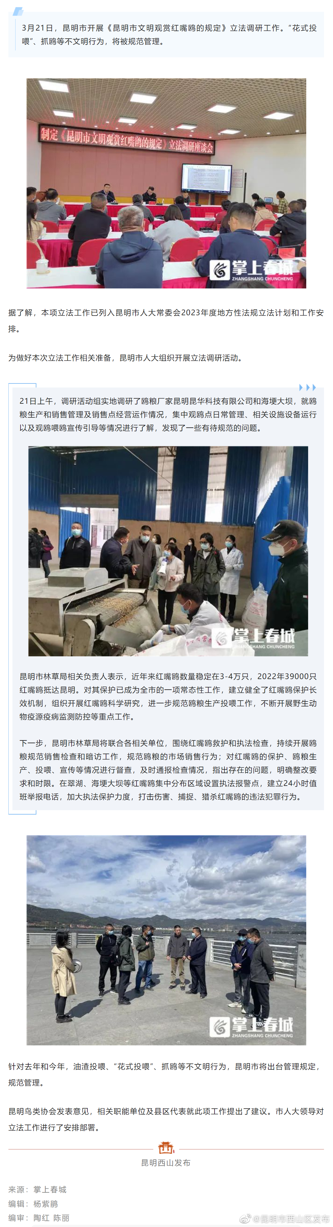昆明市启动文明观鸥立法行动